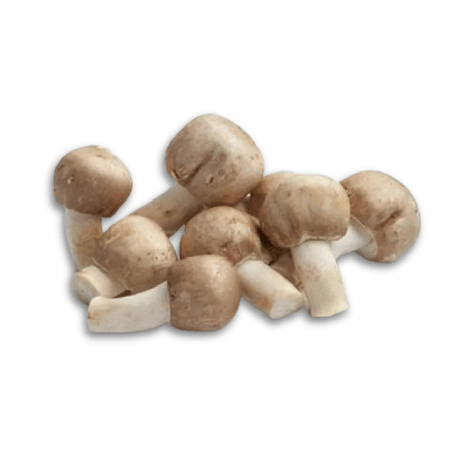 Organic Blazei Mushroom (agaricus subrufescens) - 100% Fruiting Body
