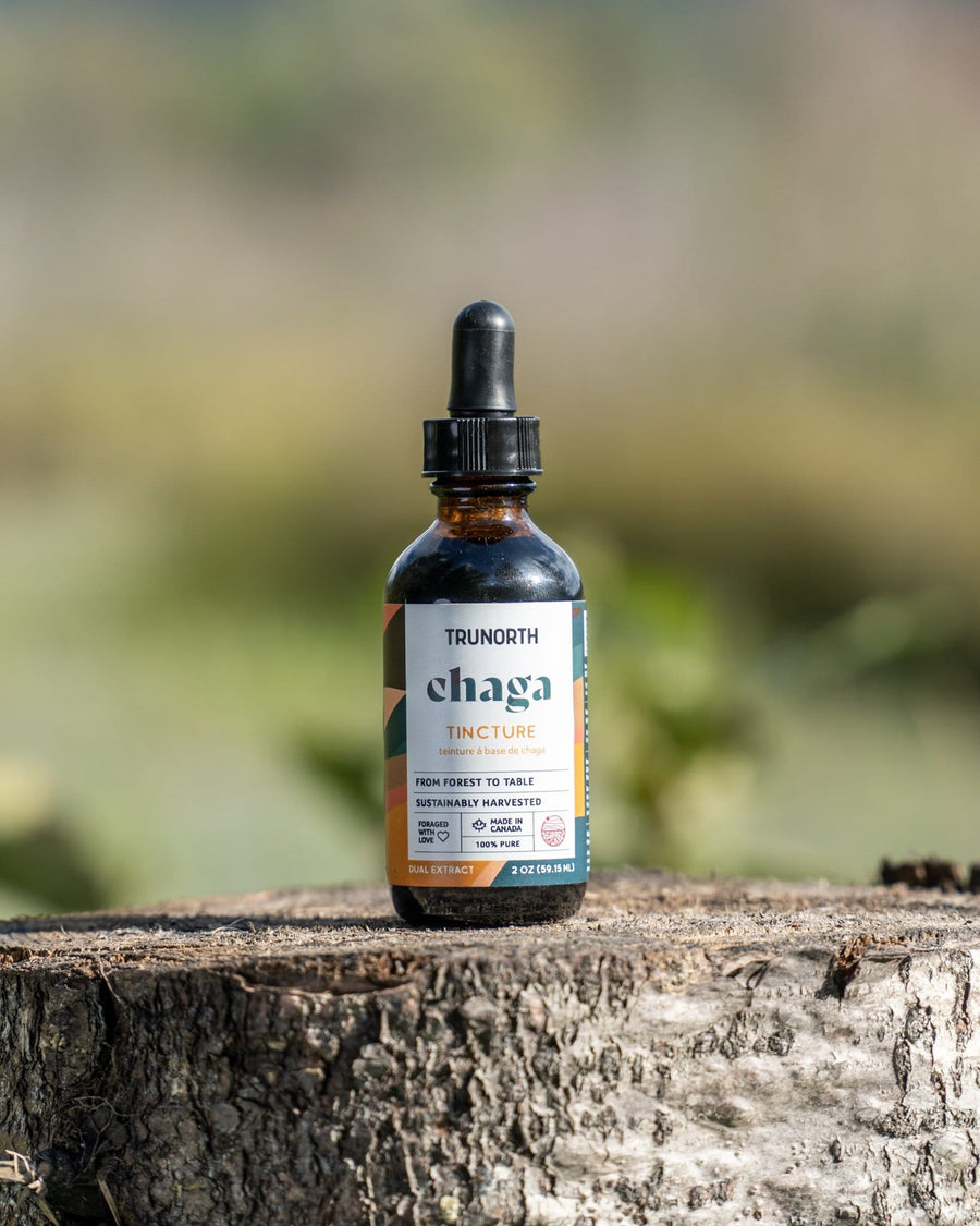 Chaga Tincture