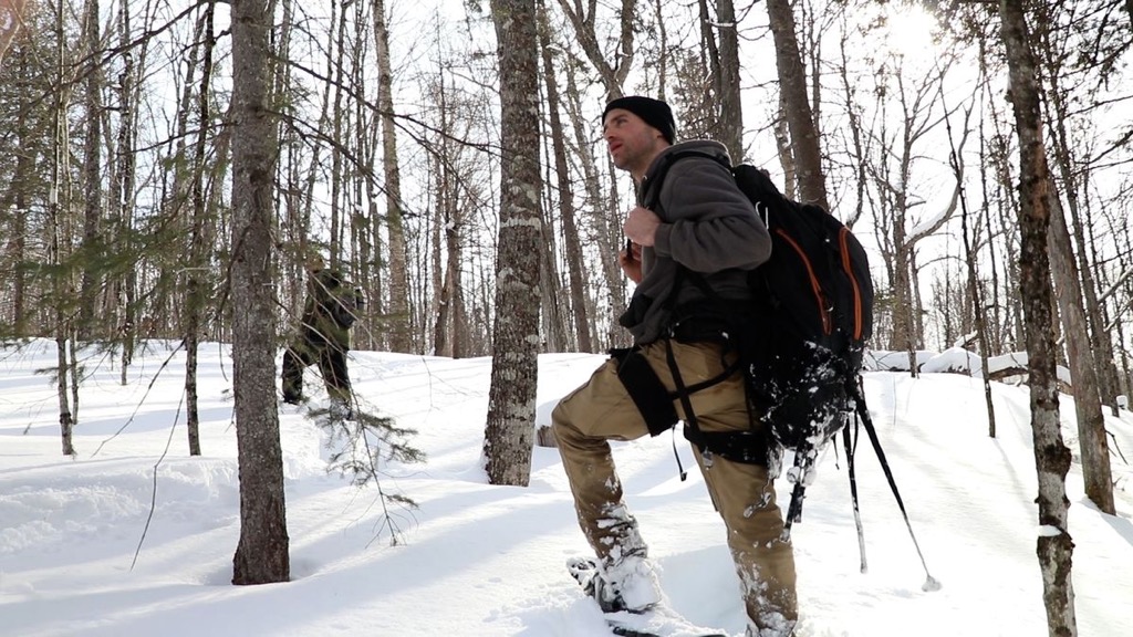 Collaborating with Forest Management Companies for Sustainable Practices