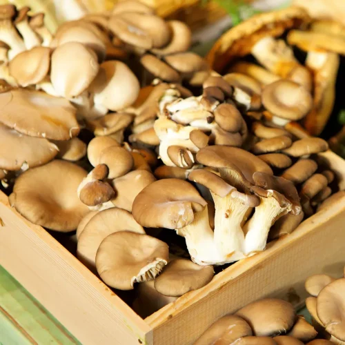 Spray Drying with Polymer Benefits